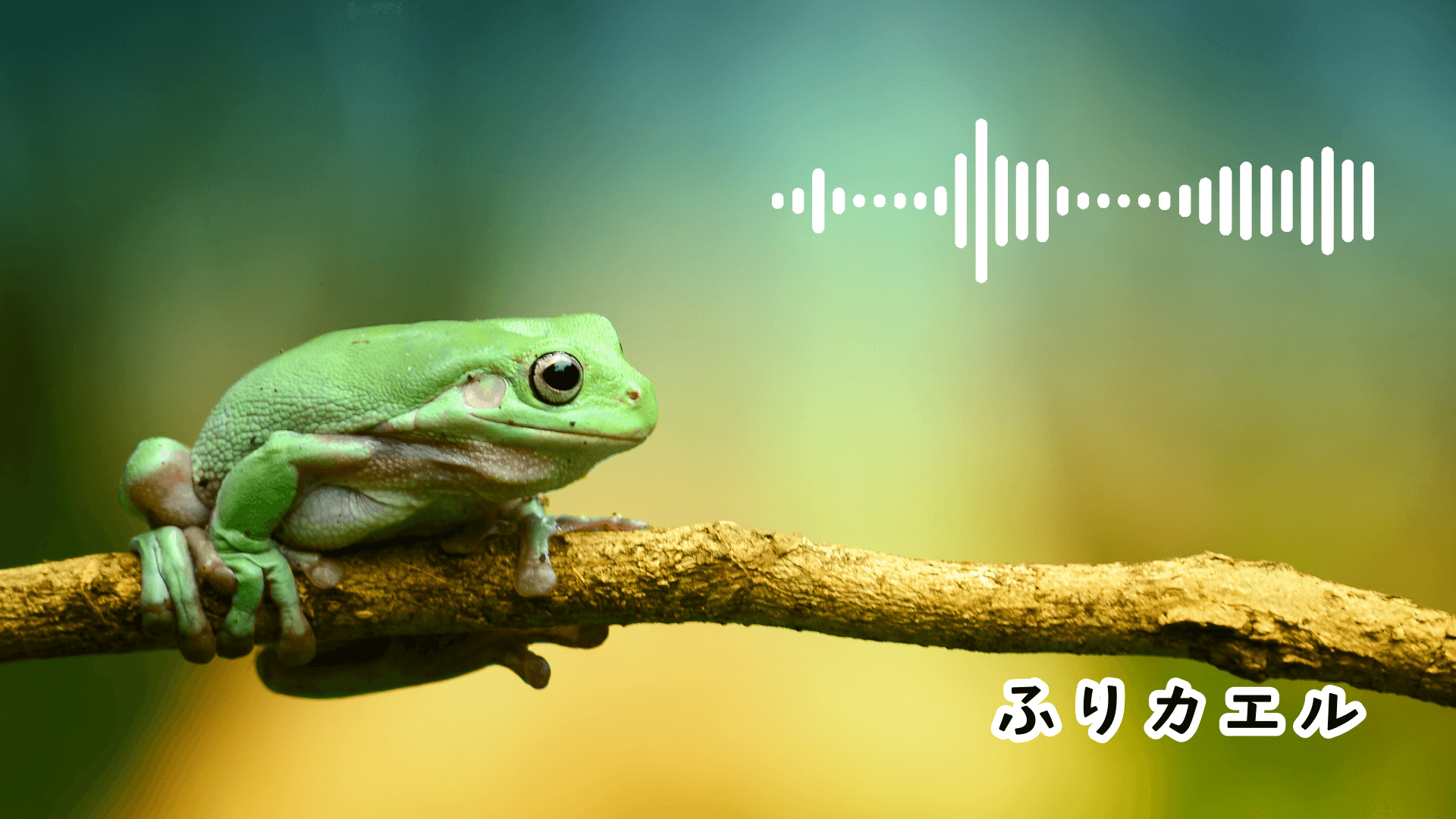 ふりカエル